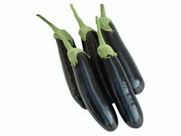 تصویر 5 از خرید بادمجان قلمی ریز + قیمت فروش استثنایی